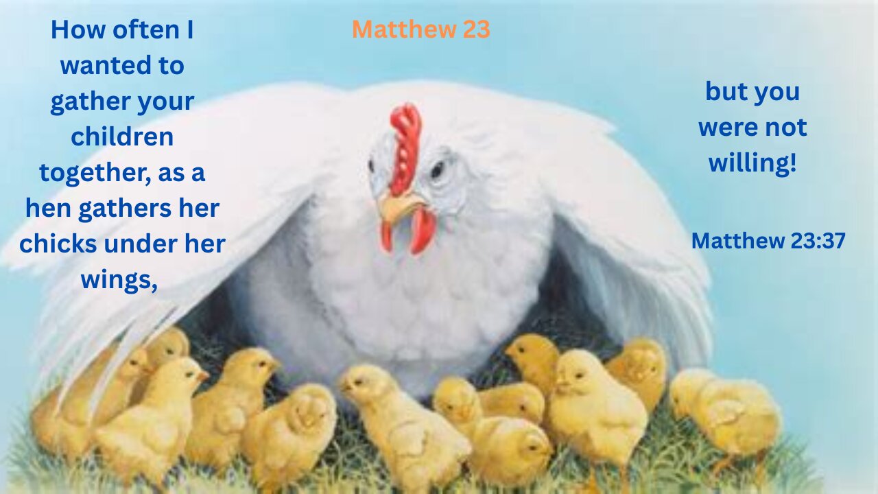 Matthew 23 : Jesus Calls Out Hypocrisy of Church Leaders