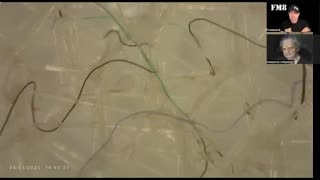 NETWORK WIRES & ENERGY EMITTING PARTICLES (FM8 WITH TONY PANTALLERESCO)