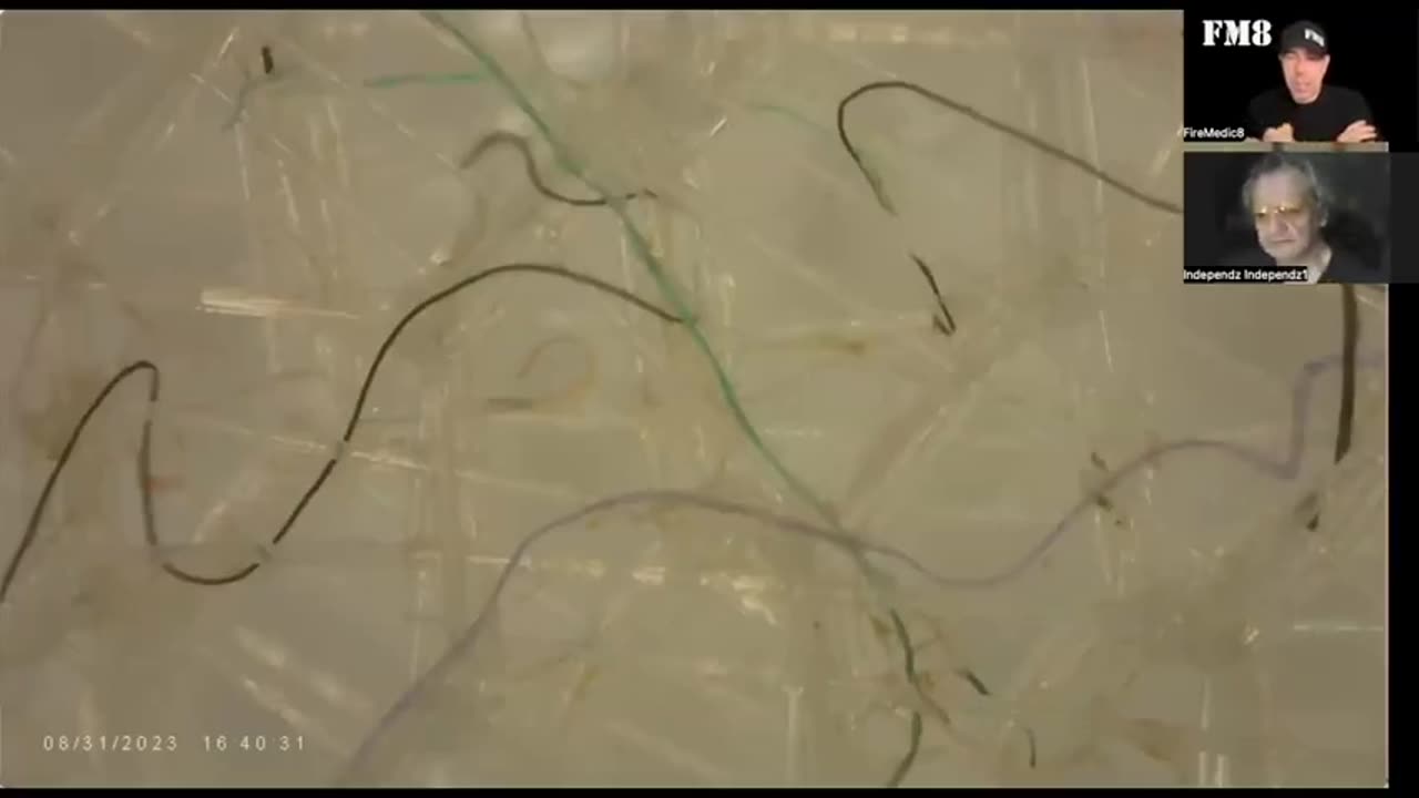 NETWORK WIRES & ENERGY EMITTING PARTICLES (FM8 WITH TONY PANTALLERESCO)