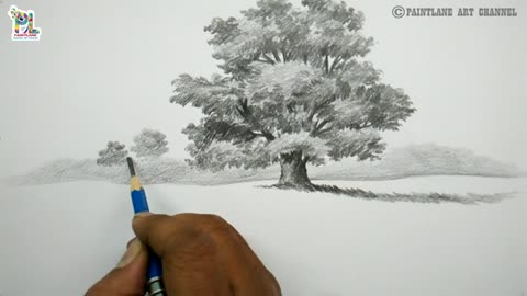 How to draw a tree in a form land with pencil || Easy pencil art
