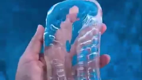 new species found