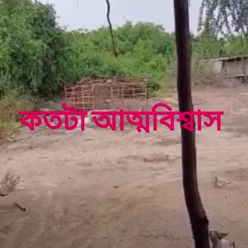 funny funny videos funny names funny animalsfunny funny videos funny names