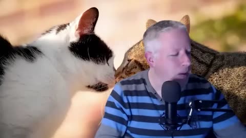 COMMUNIQUONS avec nos ANIMAUX - Laila DEL MONTE