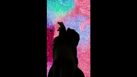 Lisa Richard 1/2/25 5PM