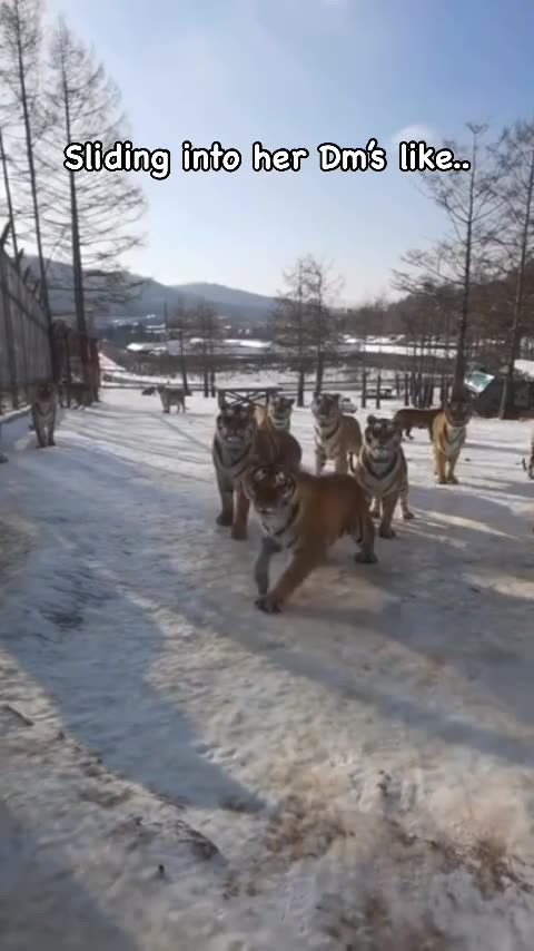 Check our page if you liked this video😂