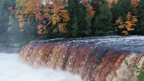 Forest waterfall 🌲🌊