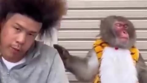 The monkey’s reaction.. 😂