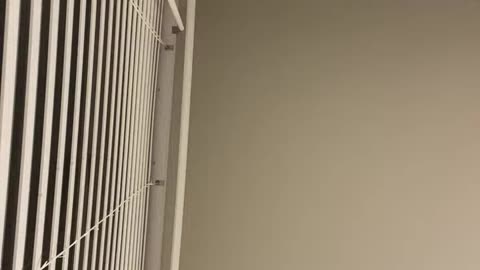 Big Dog Strategies is live!!!