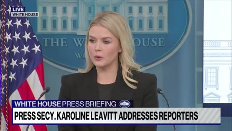 WH Press Secretary gives great defense of Trump plans to take over Gaza