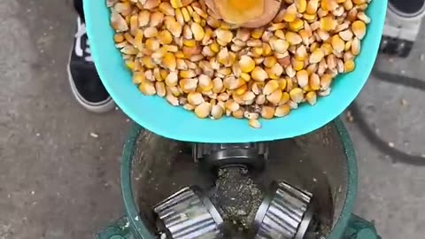 Feed pellet machine #farming #satisfying