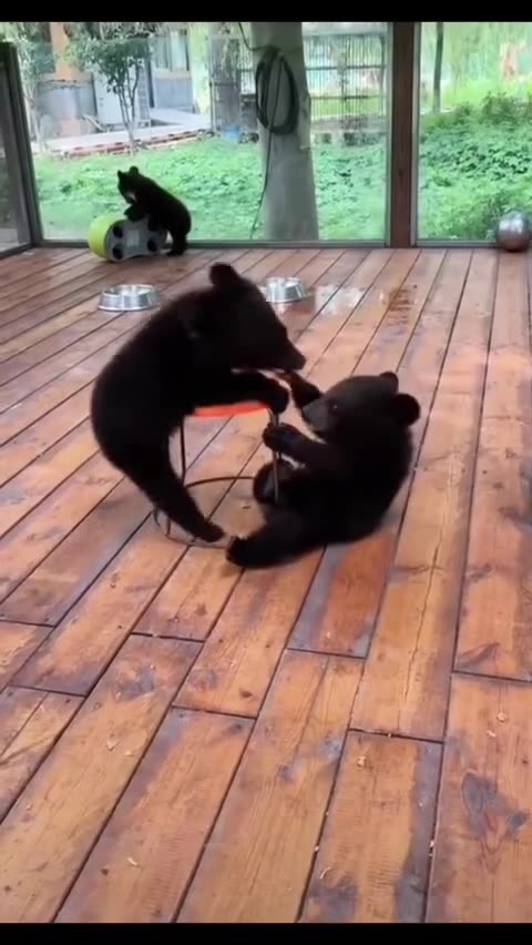 Children are children