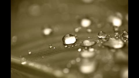 Rain in Summer - Henry Wadsworth Longfellow Poetry Reading