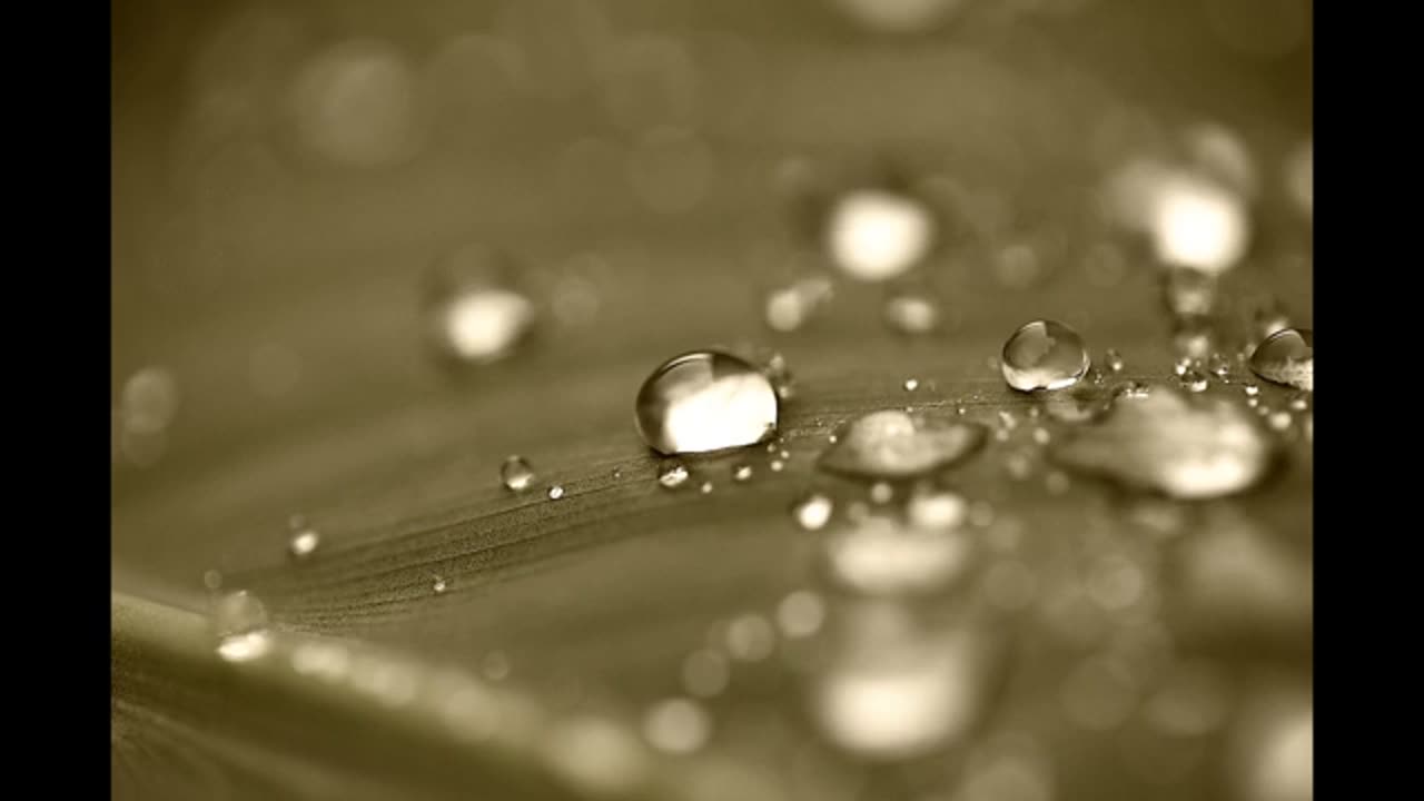 Rain in Summer - Henry Wadsworth Longfellow Poetry Reading