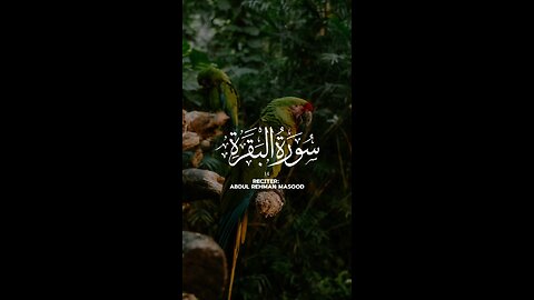 Listen Quran And relax you mind🌹🌹