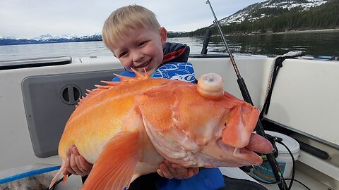 3 Days Camping in Alaska & Eating What We Catch - Shrimp, Rock Fishing and Halibut Catch & Cook