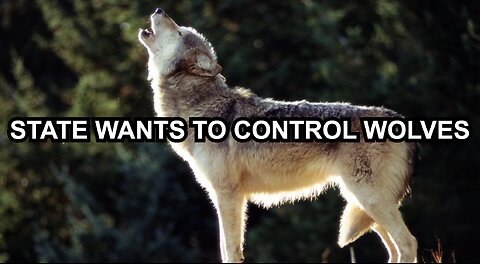 STATE WANTS TO CONTROL WOLVES