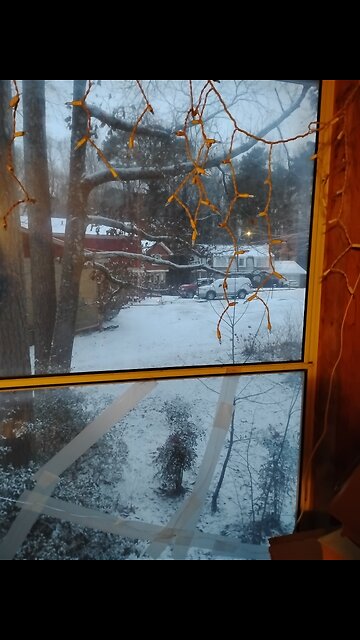 Buy legal THC through my link 21 and older