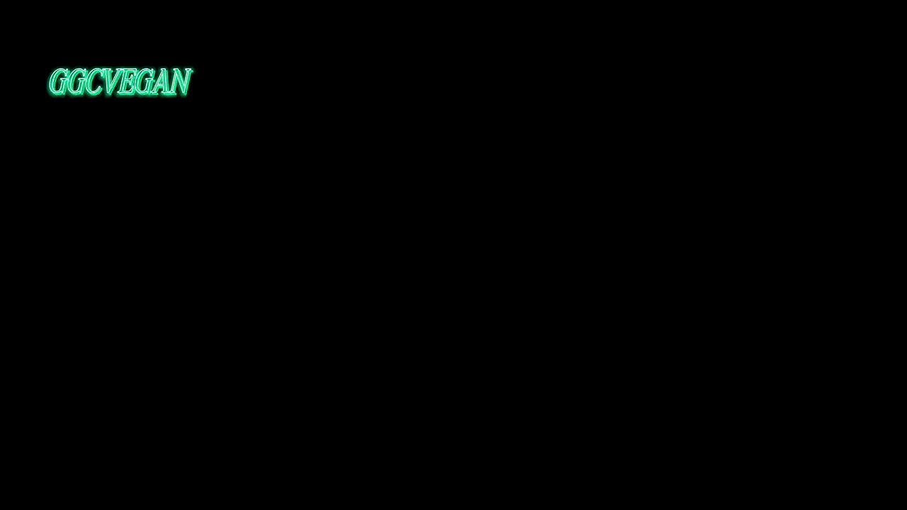 DigitalPalm Racing Team