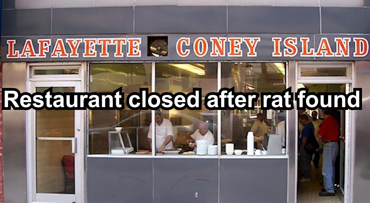 Restaurant closed after rat found