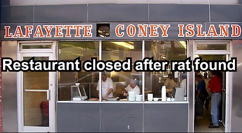 Restaurant closed after rat found