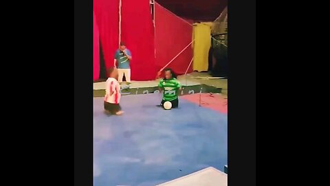 live indiana funny football match