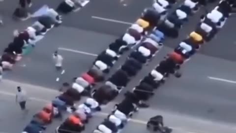 Moooslims in Canada blocking motorists on their way to work. Is America next???