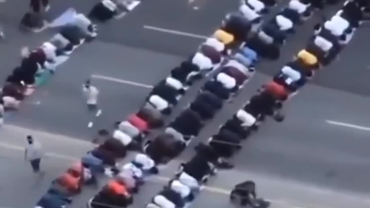 Moooslims in Canada blocking motorists on their way to work. Is America next???