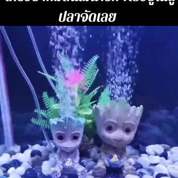 🟢น้อนน ใครอยากมีต้นไม้น่ารักๆไปอยู่ในตู้ปลาจัดเลย พิกัด : https://s.shopee.co.th/8AHJA6Kqh6