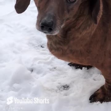 Always being watched