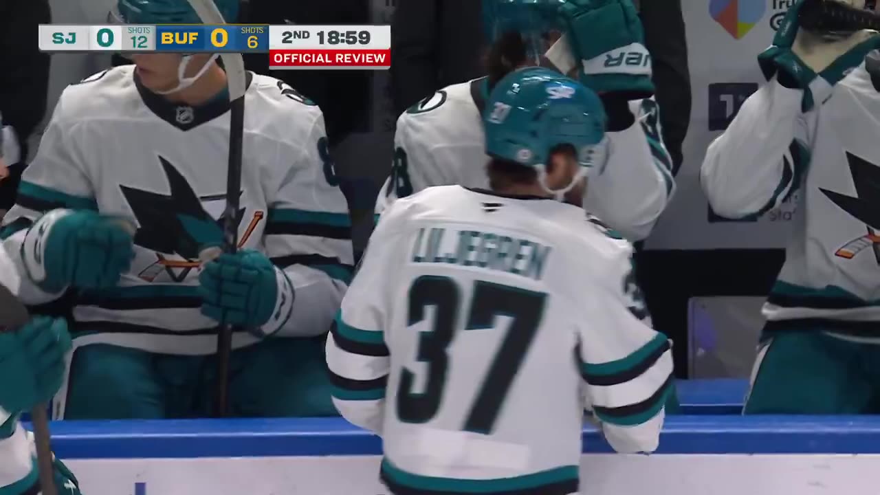 San Jose Sharks - GIVE LILY THAT GOAL 🚨