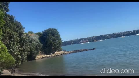 Herne Bay Beach Auckland New Zealand Tour