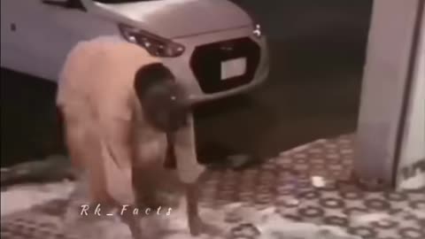 Funny Video