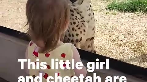 Amazing entertainment video of a Girl with Cheetah Tiger. Dont' miss out!