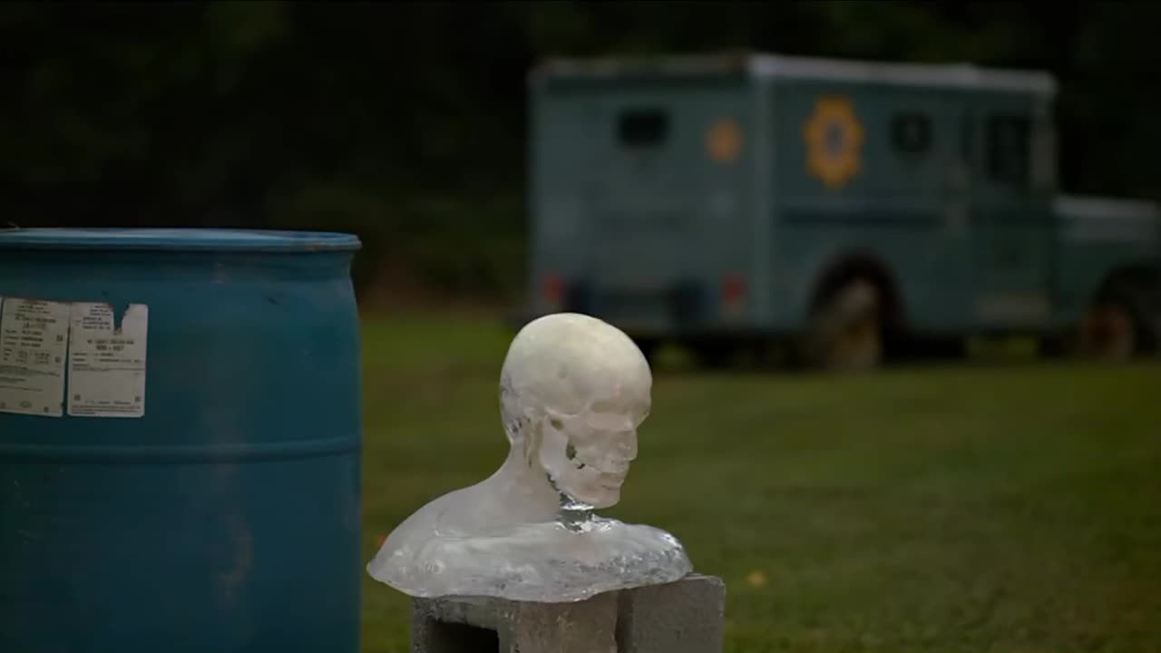 Skull Vs Hand Cannon