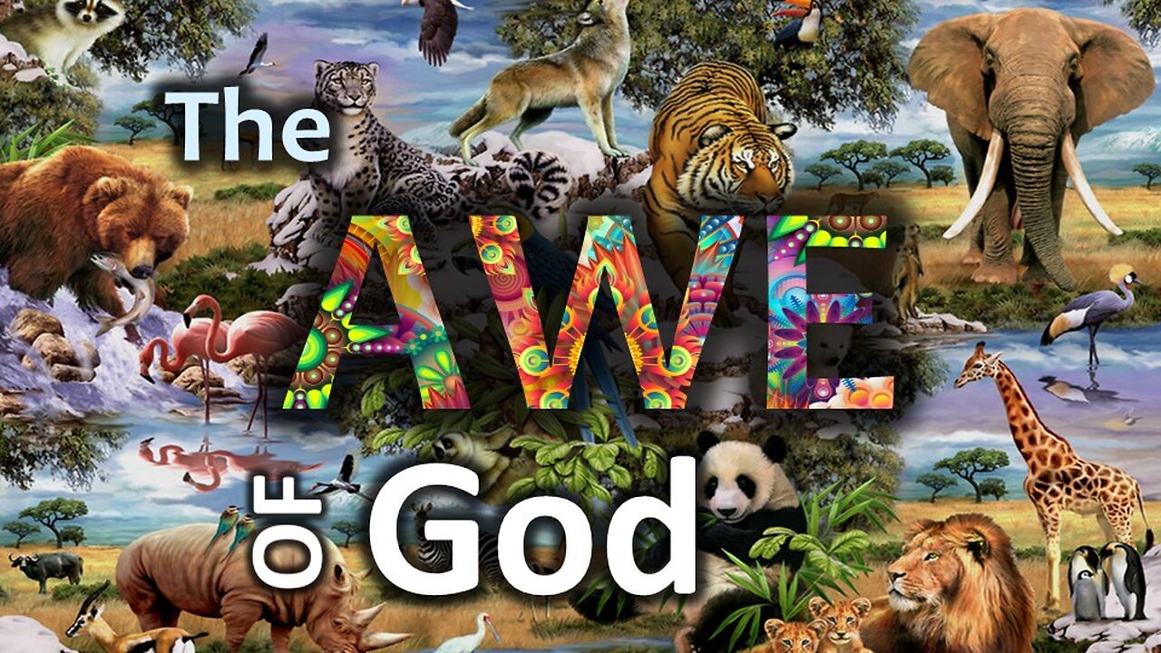 The Awe of God, part 1