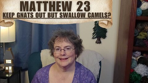 Matthew 23 - They Swallow the Camels