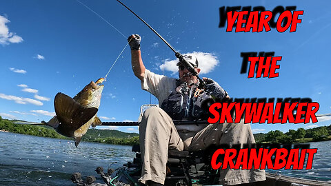 The Year of the Skywalker Crankbait by Thomas Custom Painted Lures!