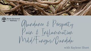 Abundance & Prosperity; Pain & Inflammation; Mold/Fungus/Candida Sessions