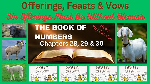 Numbers 28 29 & 30 : Feast Days, Offerings and Vows