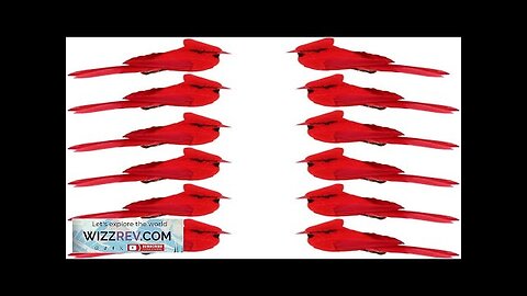 KLEWEE 12 Pcs Cardinal Birds for Crafts Mini Cardinal Clip On Christmas Review