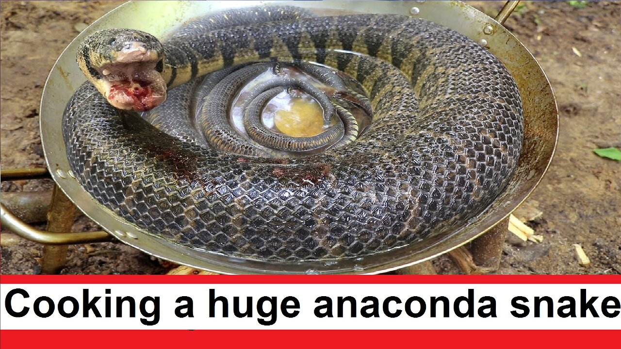 Cooking a huge anaconda snake turned out very tasty