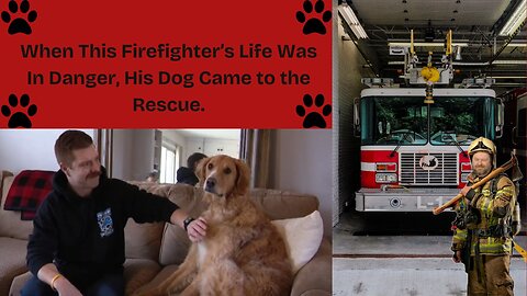 When This Firefighters Life Was in Danger, His Dog Came to the Rescue!