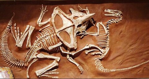 The Protoceratops