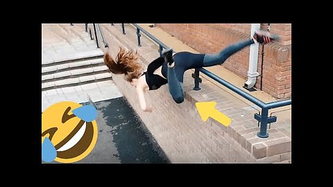 funny videos