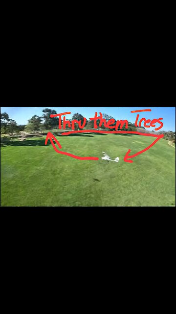 Aeroscout Thru Trees! 🌳🫣