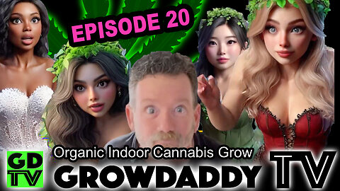 S09 E20 - Week 12 Of Flower | Cannabis Grow 🪴 | Foxtails | Totally Faded | Farewell To The Girls