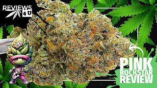 PINK ROCKSTAR | REVIEWS 4 U