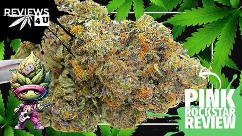 PINK ROCKSTAR | REVIEWS 4 U