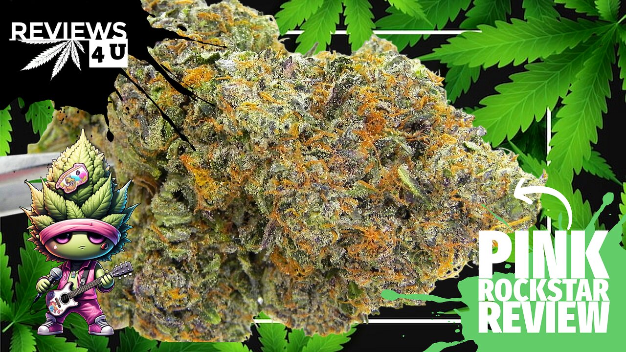 PINK ROCKSTAR | REVIEWS 4 U