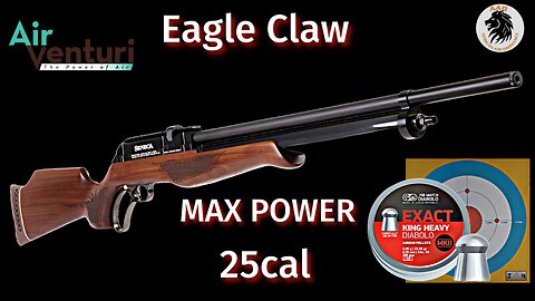 Air Venturi Eagle Claw 25cal Max Power Setting test with JSB Exact King Heavy 33 95gn @ 55yards